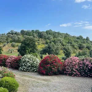 Tenuta Podere Montauzzo Montemassi